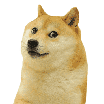 Doge